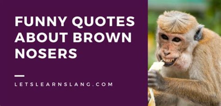 23 Quotes About Brown Nosing