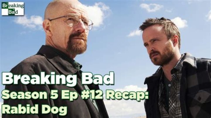 Breaking Bad RECAP 9/1/13: Season 5 Episode 12 “Rabid Dog”