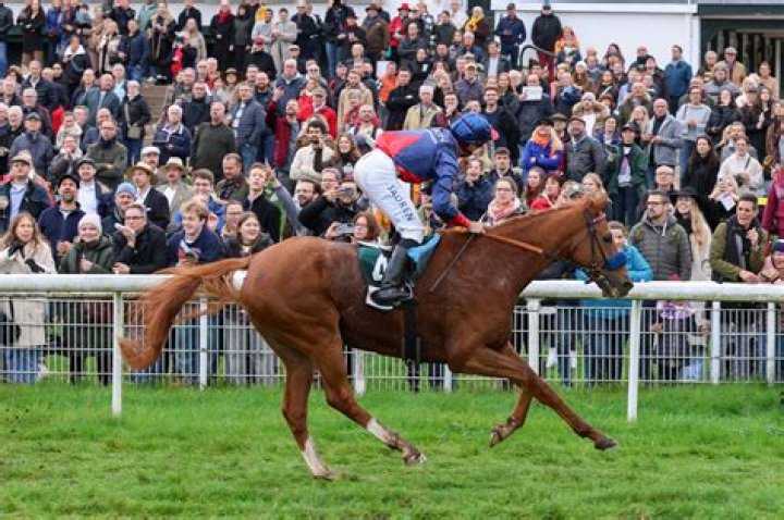 Eckhard Sauren Fortune