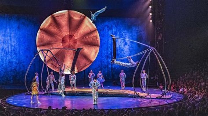 Fame | Cirque du Soleil net worth and salary income estimation Apr, 2024