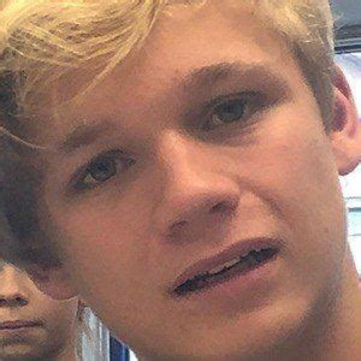 Fame | Nico Liersch net worth and salary income estimation Jan, 2024