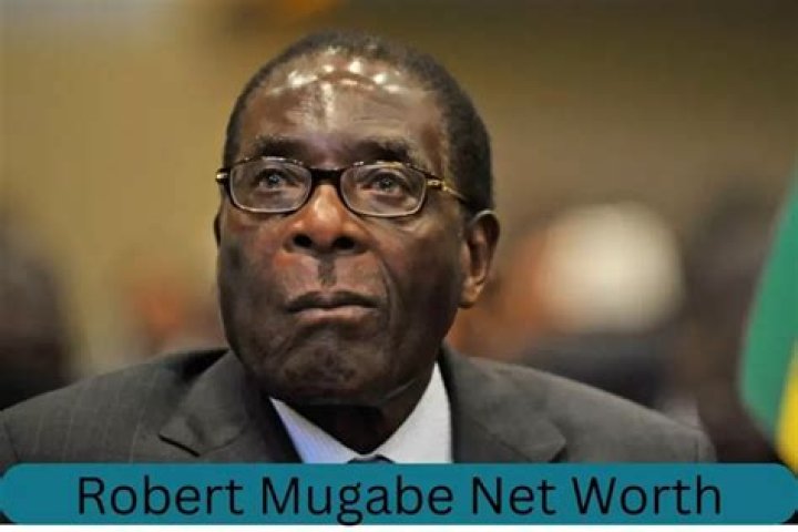 Fame | Robert Mugabe Jr net worth and salary income estimation Apr, 2024