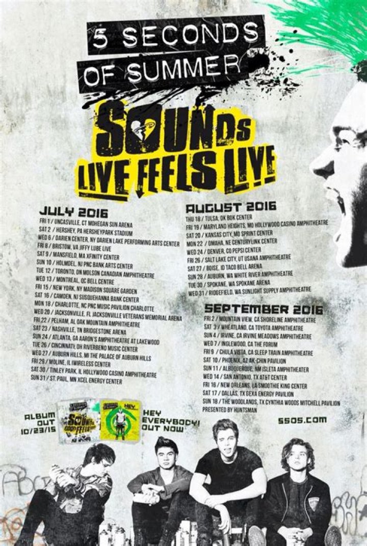 GALLERY: The Best of 5SOS' Sounds Live Feels Live Tour