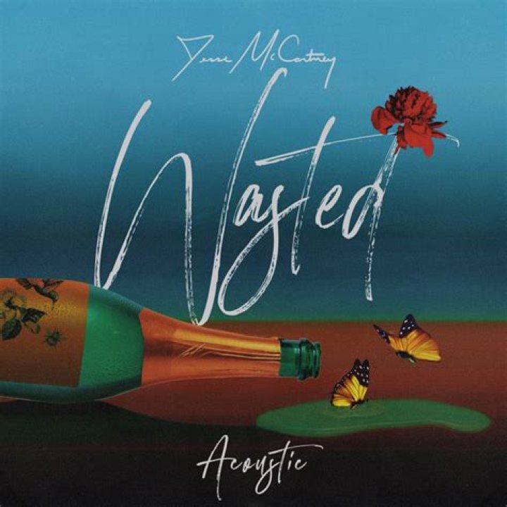 Jesse McCartney Releases Acoustic Version of "Wasted"
