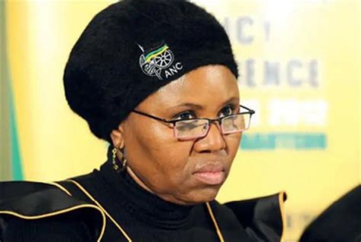 Lindiwe Zulu Biography: Age, Net Worth, Husband, Twitter, Married, Speech Today, Qualifications, Contact Details, Pictures