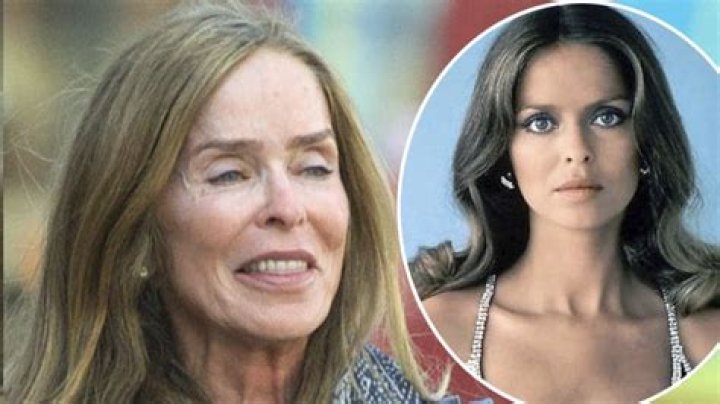Maria Barbara Bach - Net Worth, Age, Height, Birthday, Bio, Wiki!
