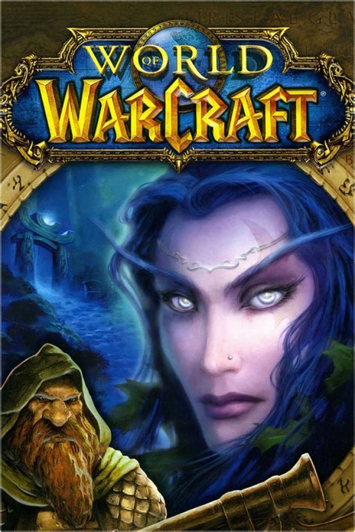 The overall role of guides and services in the World of Warcraft gaming universe