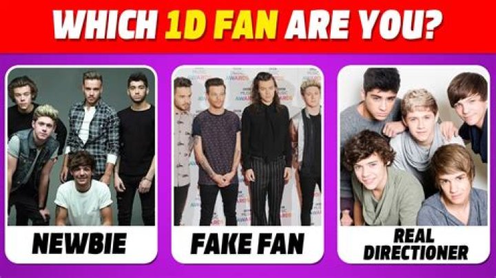 The View Faces Criticism From 1D Fans