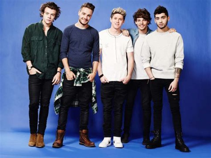 Top 10 One Direction's Video Diaries Moments