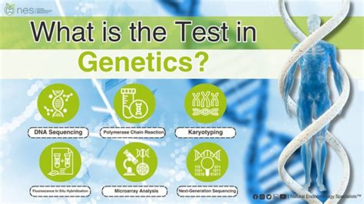What is a DNA Test? The Power and Implications of Testing